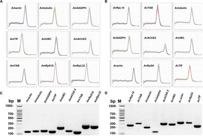 Screening and Validation of Reference Genes for RT-qPCR Under Different Honey Bee Viral Infections and dsRNA Treatment